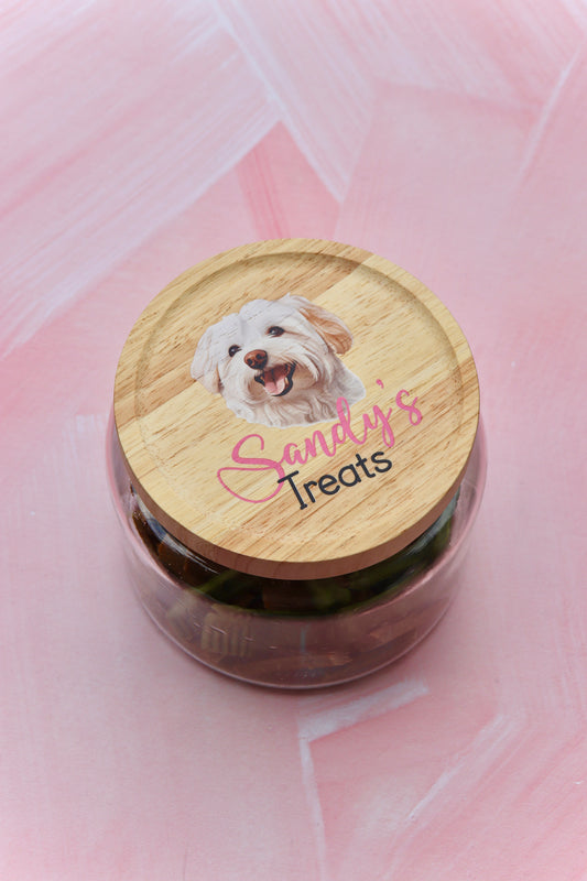 Pet Treat Jar